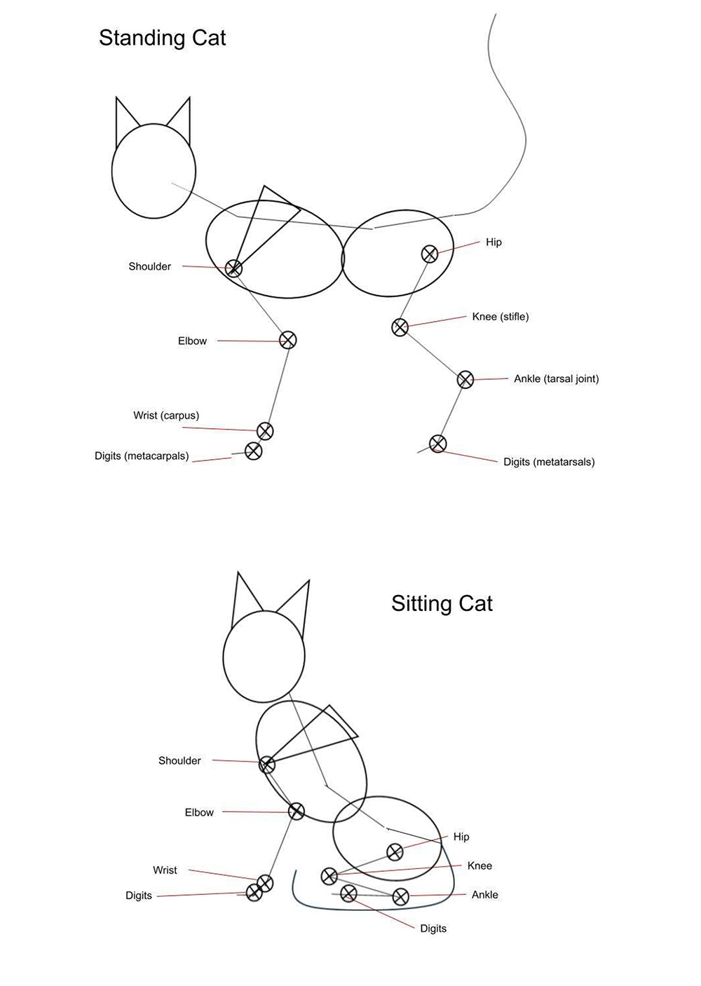 Drawing Guide - Cat Body
