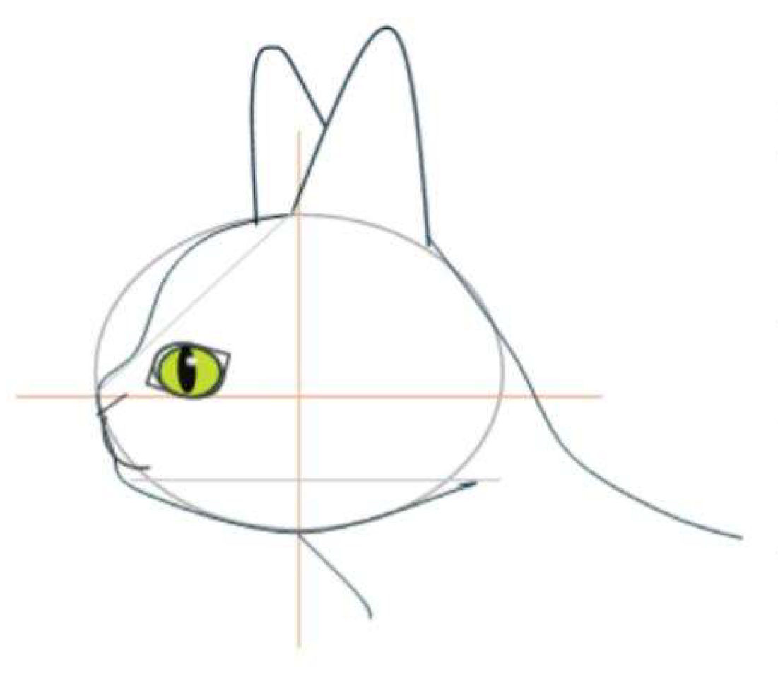 Drawing Guide - Cat Faces_side