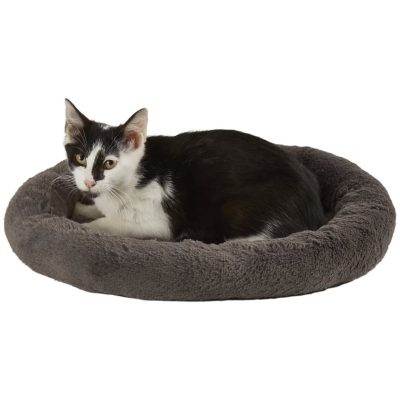 Frisco Self-Warming Bolster Kitten Bed