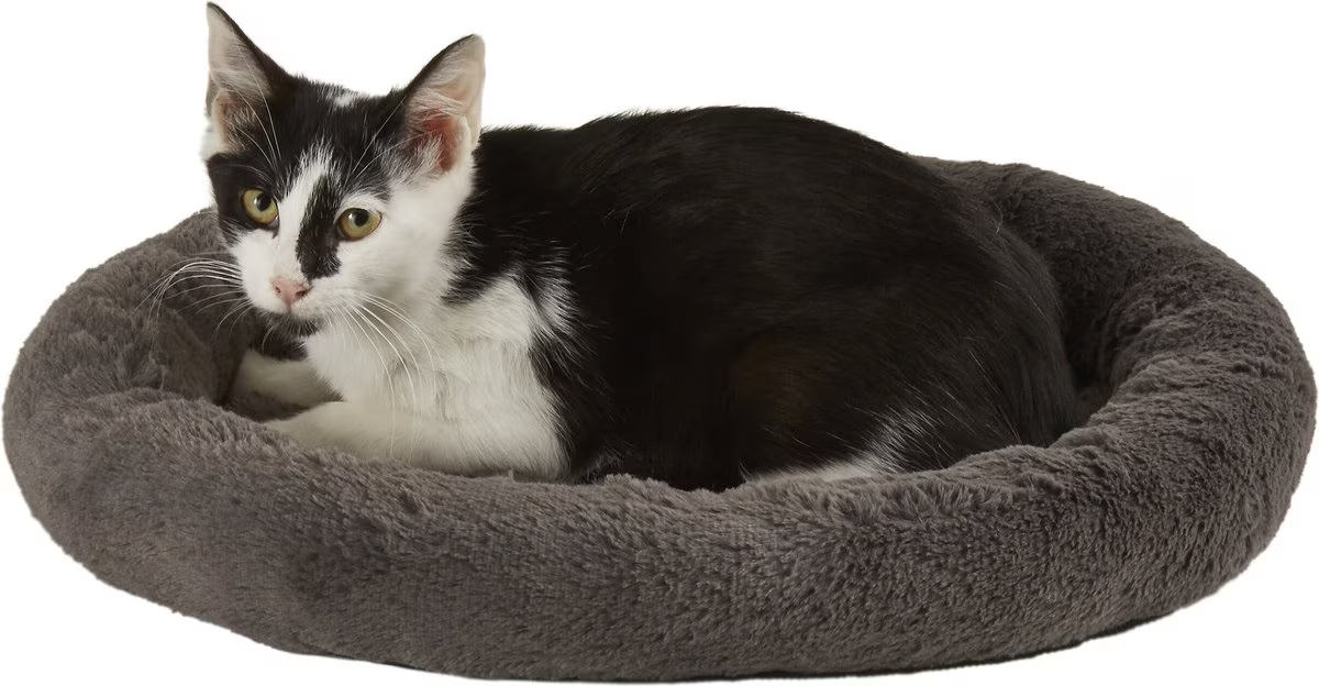 Frisco Self-Warming Bolster Kitten Bed