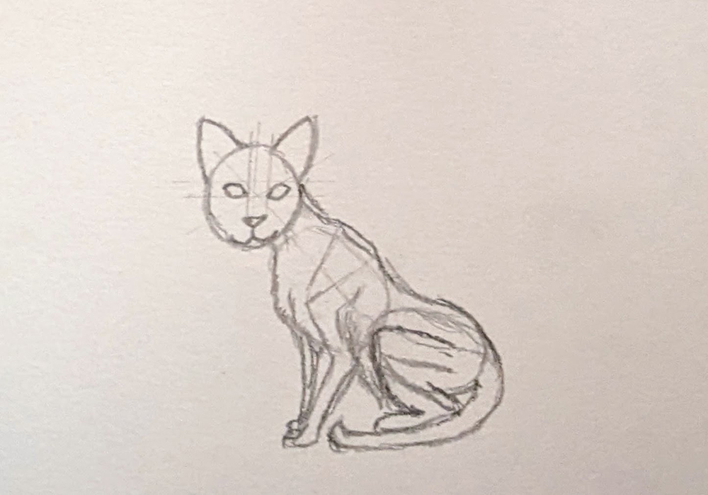 How to Draw Cats_Sitting 3