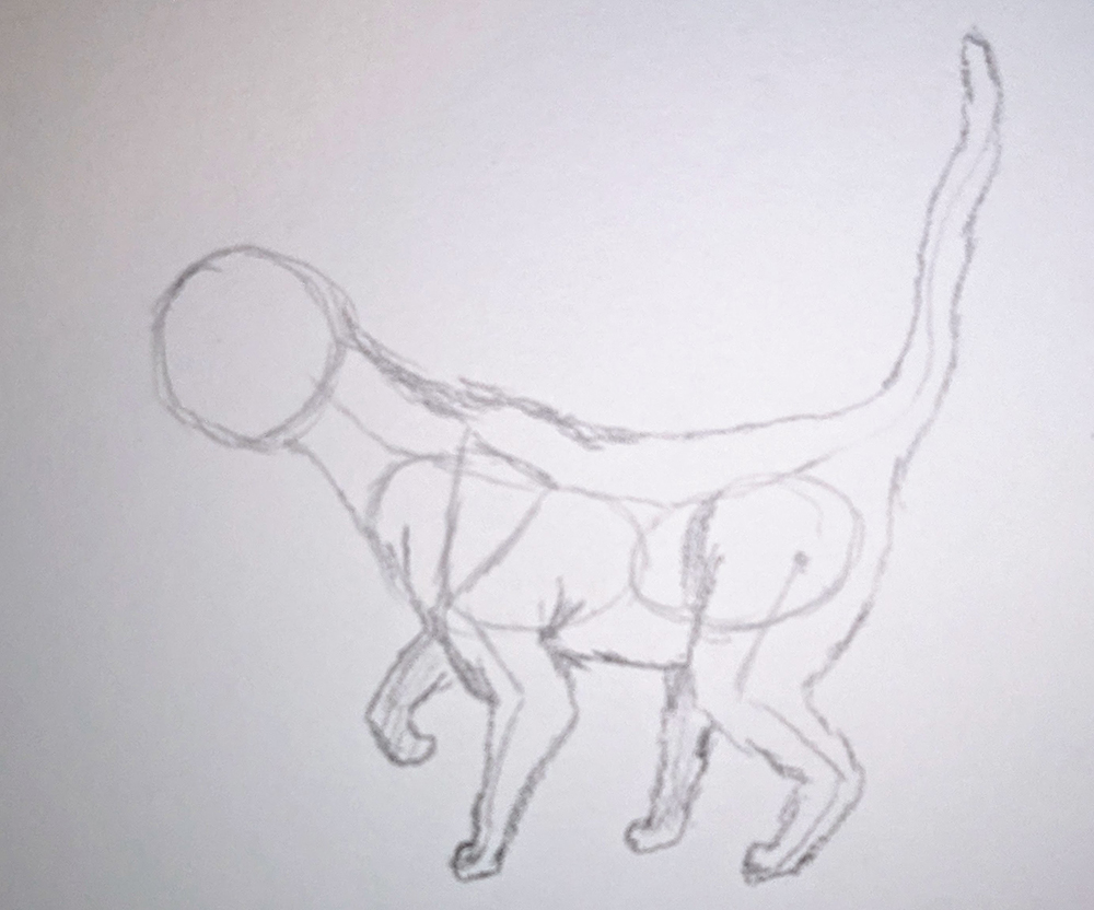 How to Draw Cats_Standing 2