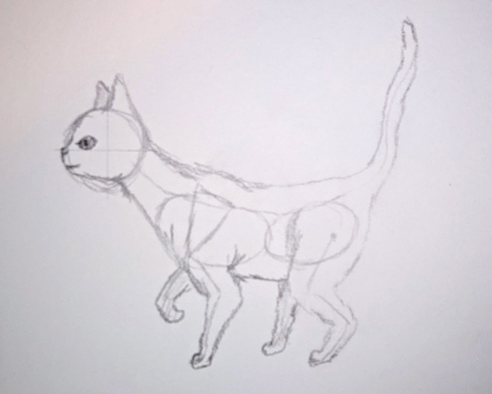 How to Draw Cats_Standing 3