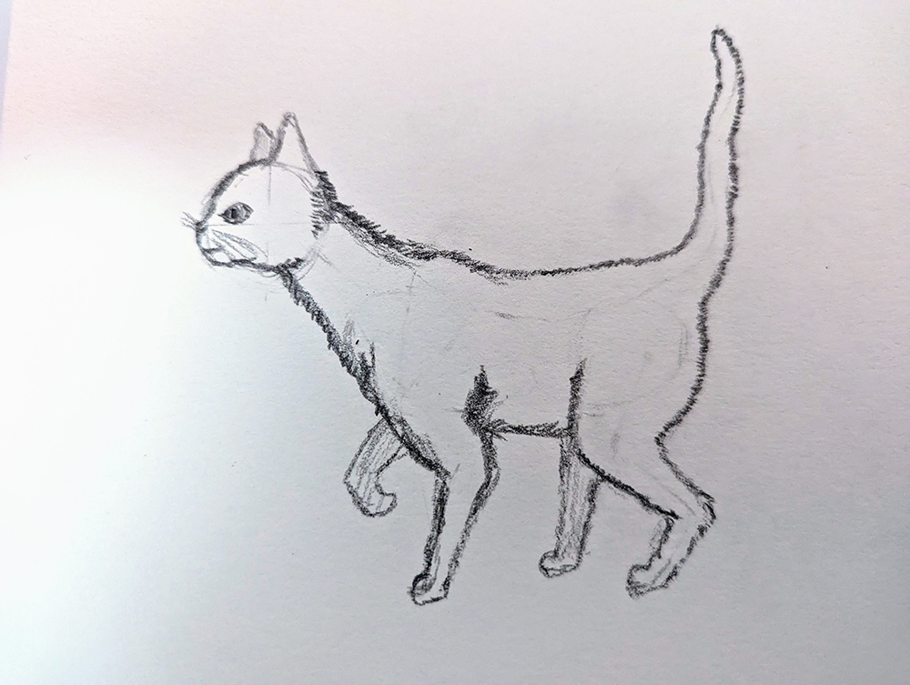 How to Draw Cats_Standing 4