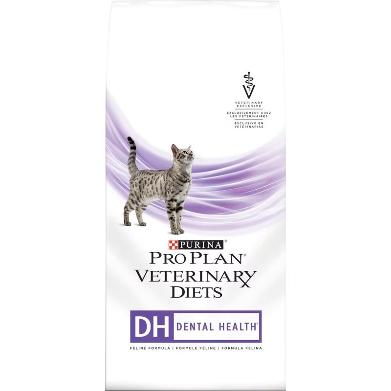 Best Cat Food To Reduce Dander 8 Best Cat Foods for Older Cats with Bad Teeth in 2025 - Reviews & Top
