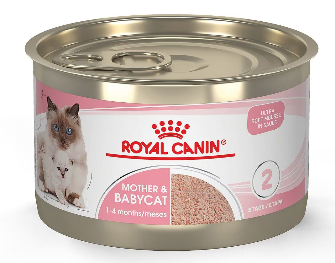 Royal Canin Feline Health Nutrition Mother & Babycat Ultra Soft Mousse in Sauce Canned Cat Food