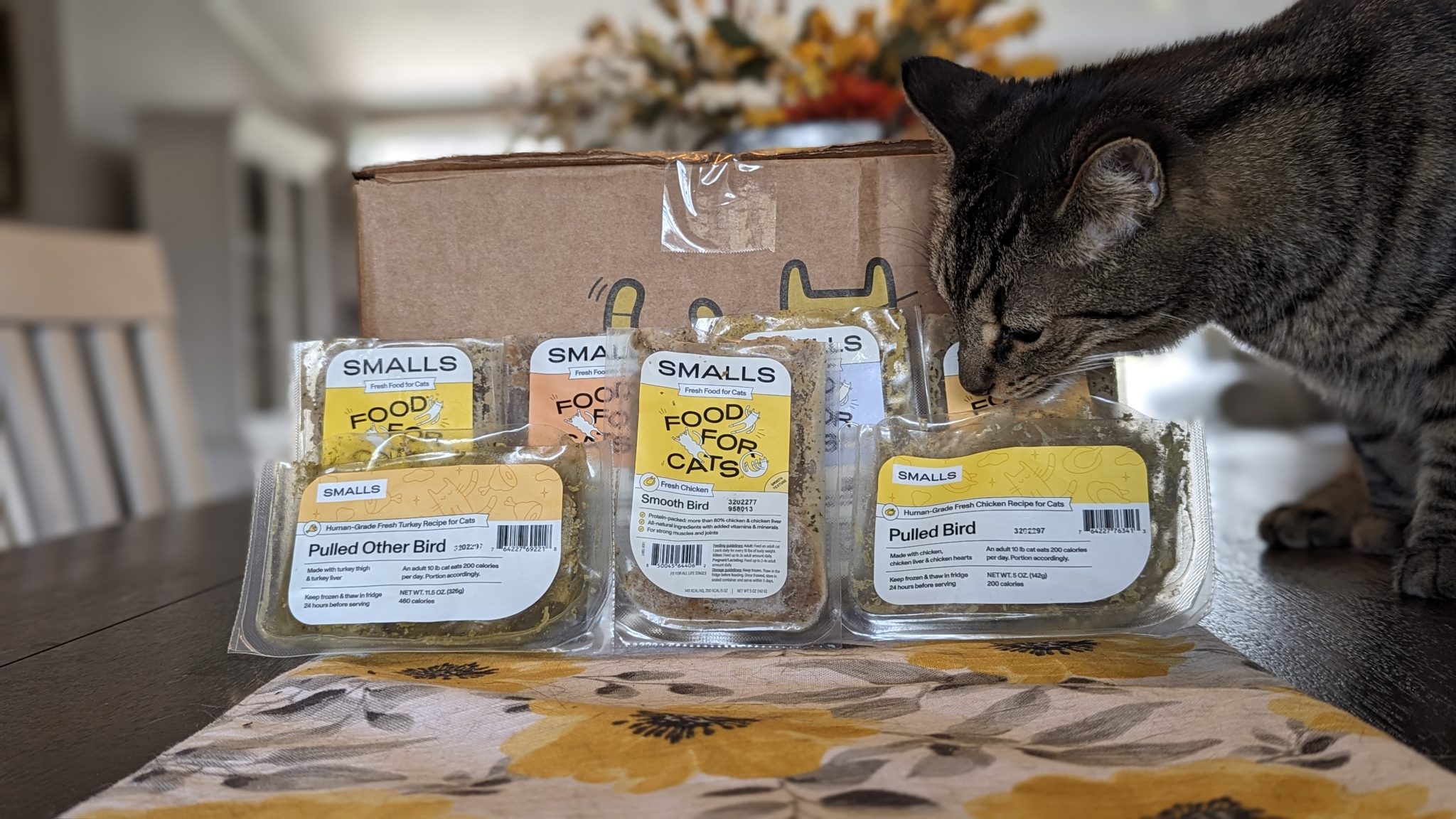 Best Cat Food For Pregnant Cat Deals