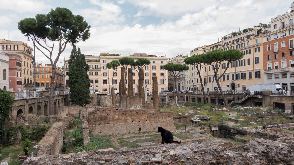 Torre-argentina-Square-in-Rome