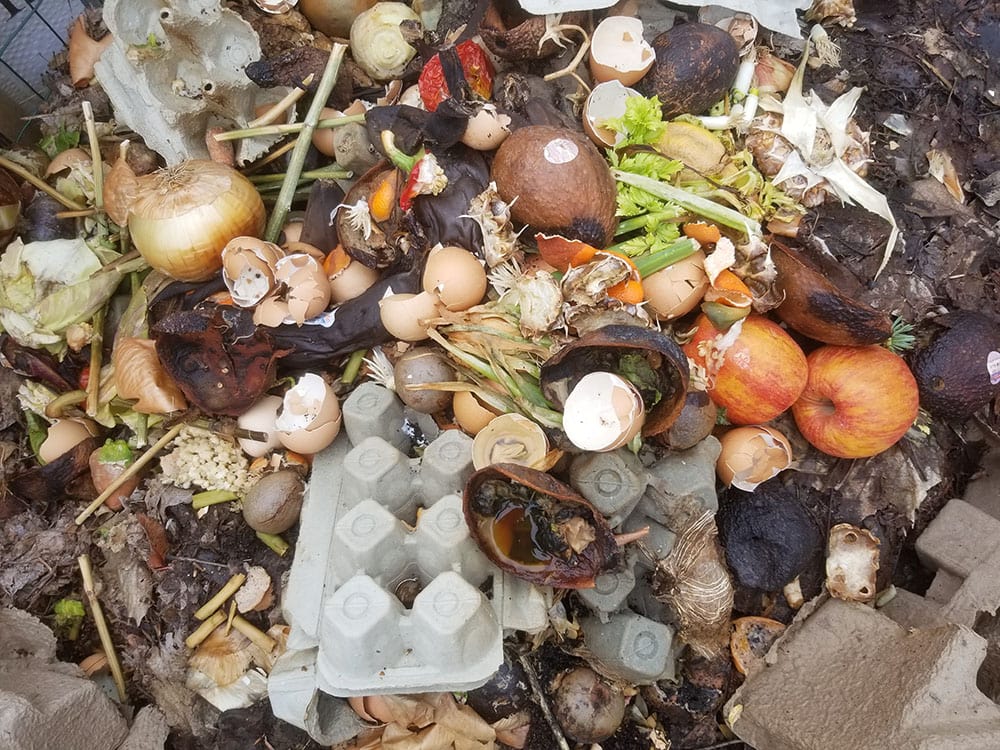 compost bin with cardboard