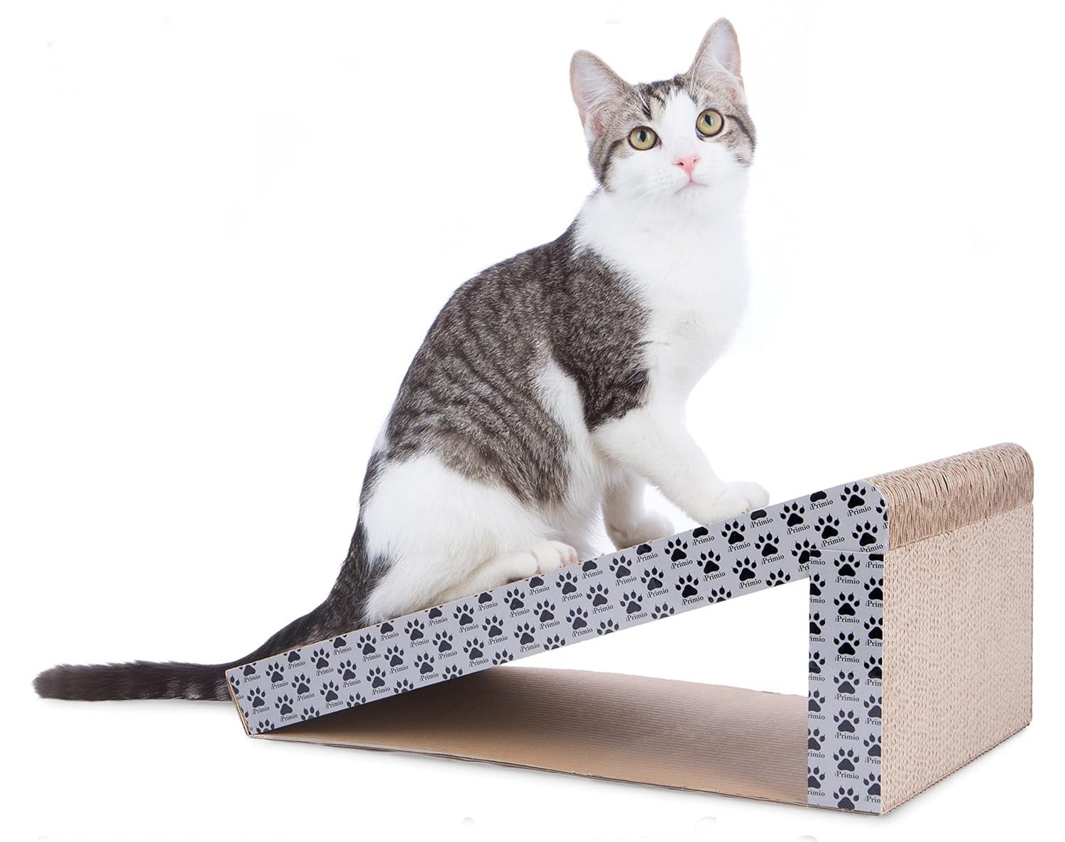 5 Best Litter Box Ramps for Senior Cats in 2024 Reviews & Top Picks Catster