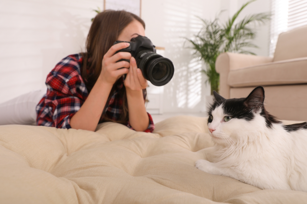 woman-taking-picture-of-cat
