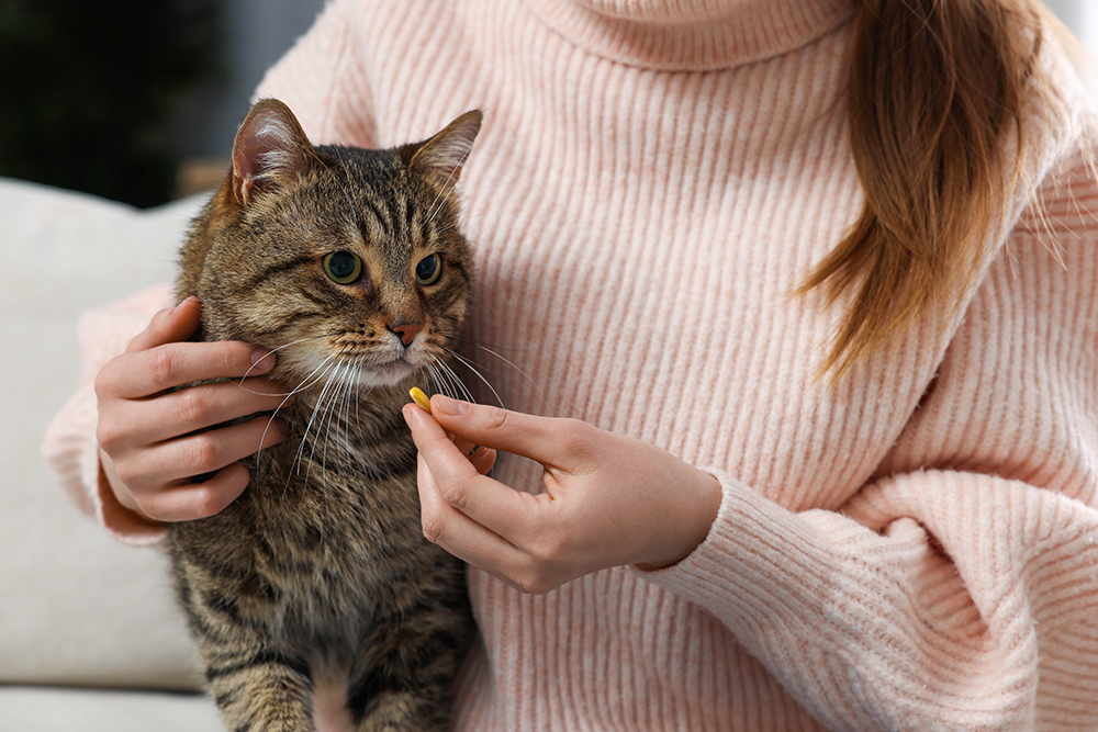 young woman giving cat a tablet pill