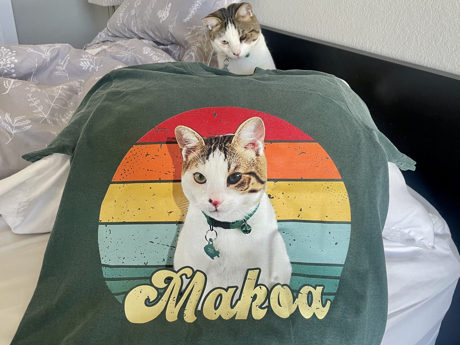 Unifury Personalized Pet Photo TShirt Review 2024 Our Expert’s Opinion Catster