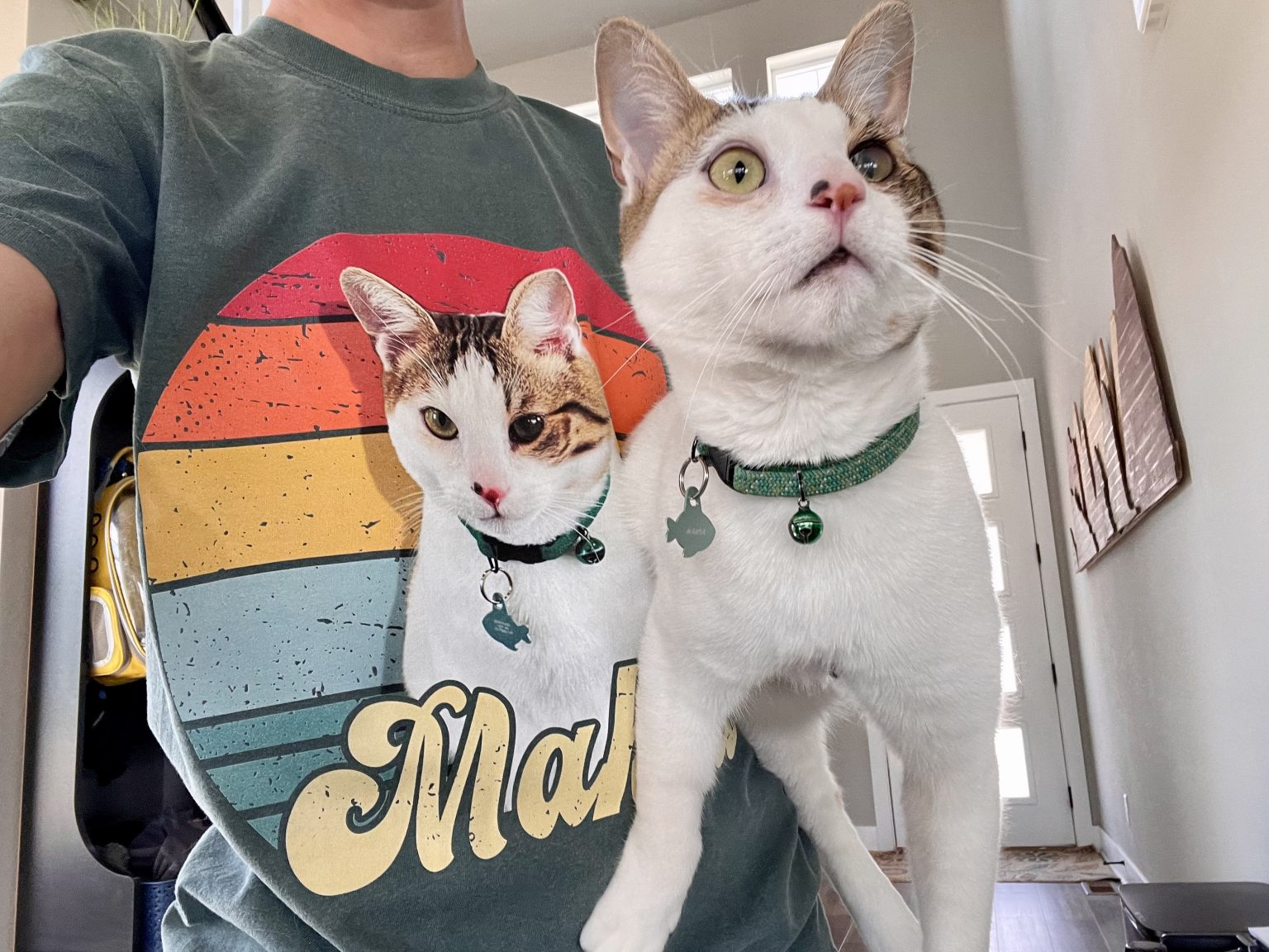 Unifury Personalized Pet Photo TShirt Review 2024 Our Expert’s