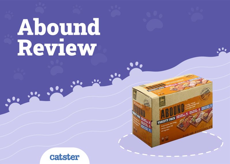 Abound Cat Food Review