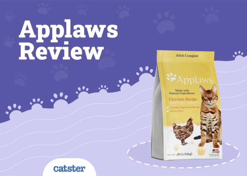 Applaws Cat Food Review