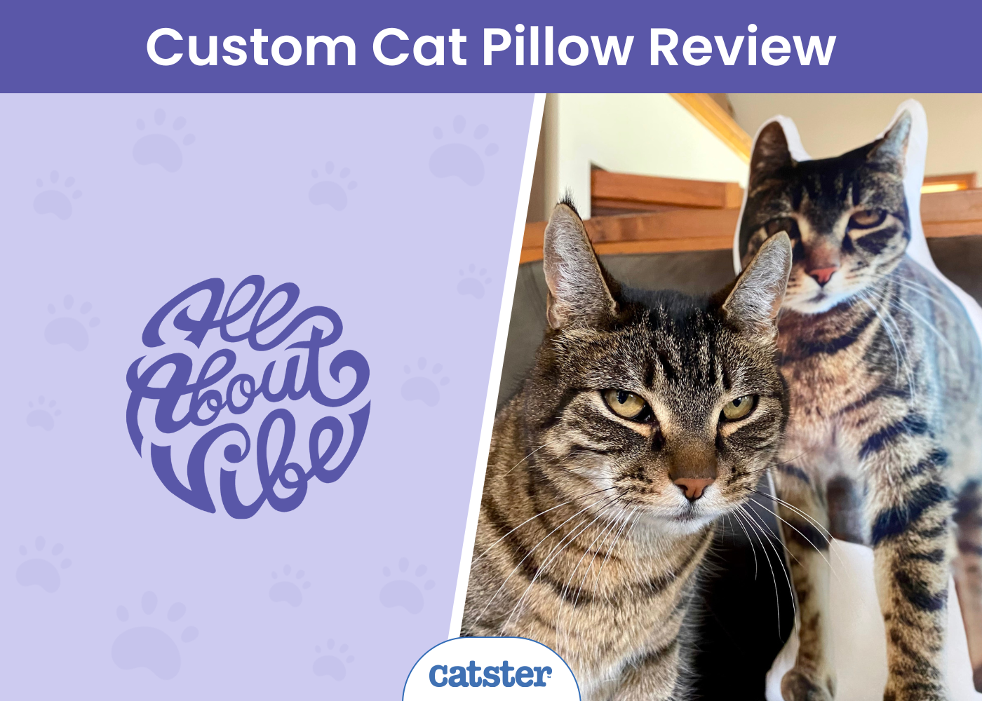 All About Vibe Custom Cat Pillow