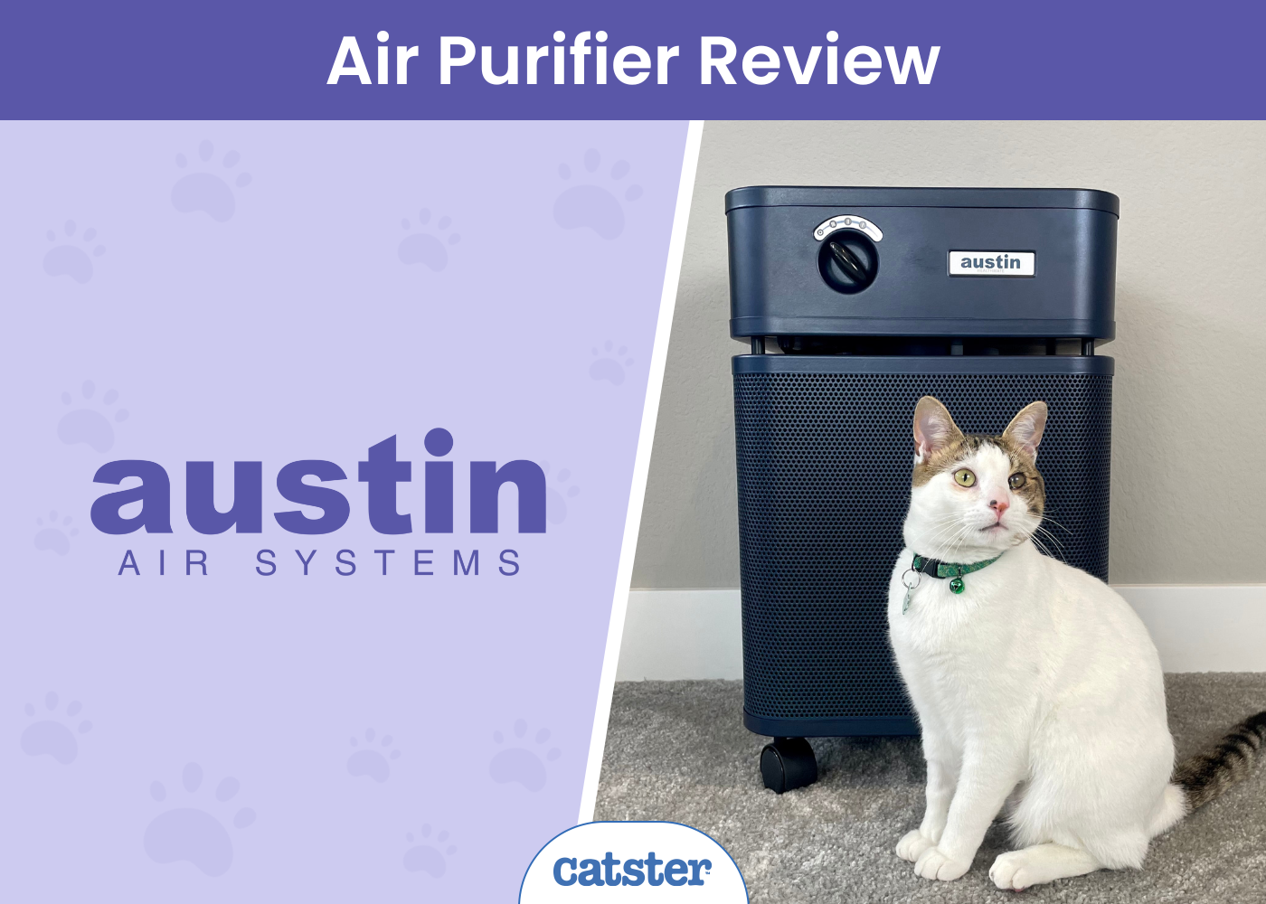Austin Air HealthMate Review 2024: A Detailed Look