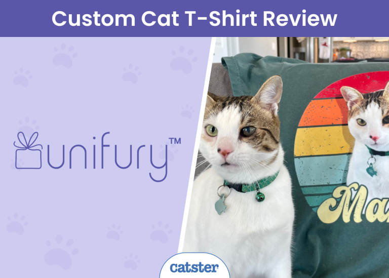 Unifury Personalized Pet Photo TShirt Review 2024 Our Expert’s Opinion Catster