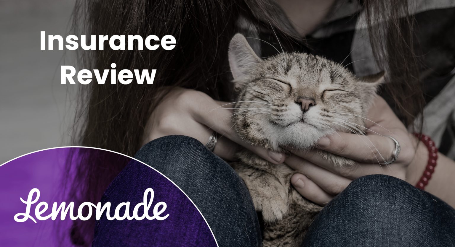 Lemonade Pet Insurance Review 2024 A Detailed Look Catster