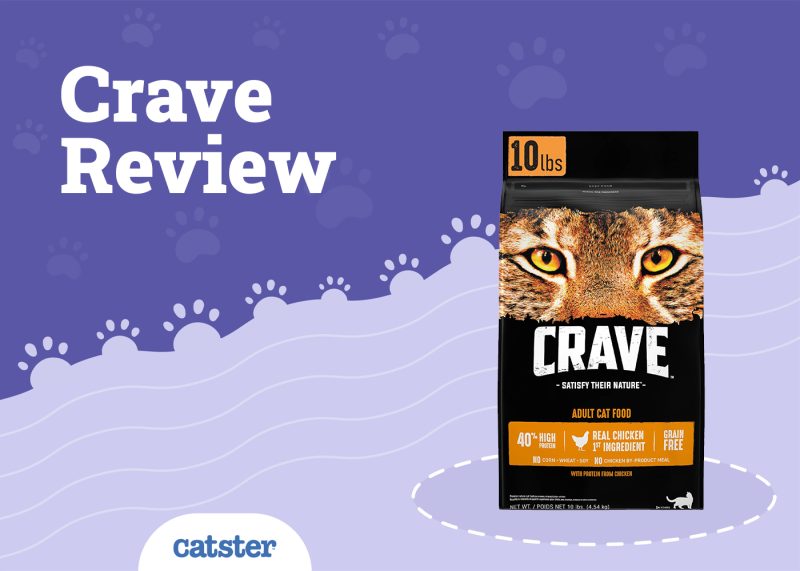 Crave Cat Food Review
