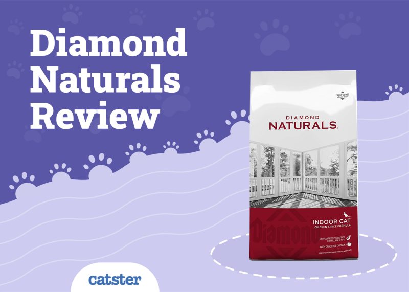 Diamond Naturals Cat Food