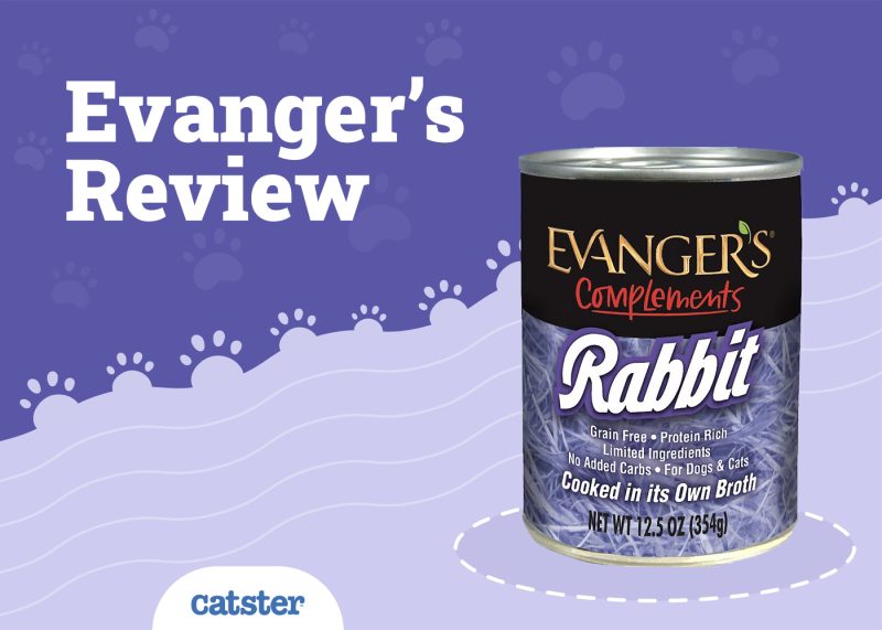 Evanger's Review