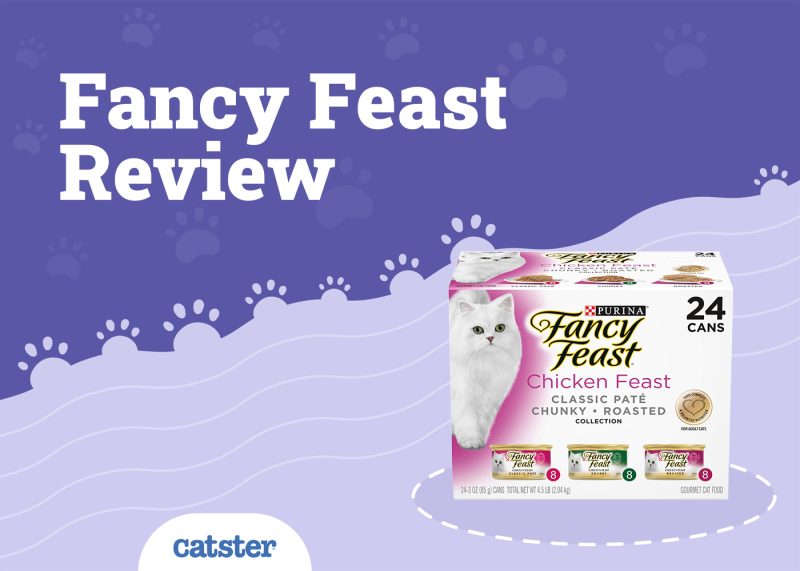 Fancy Feast Cat Food Review