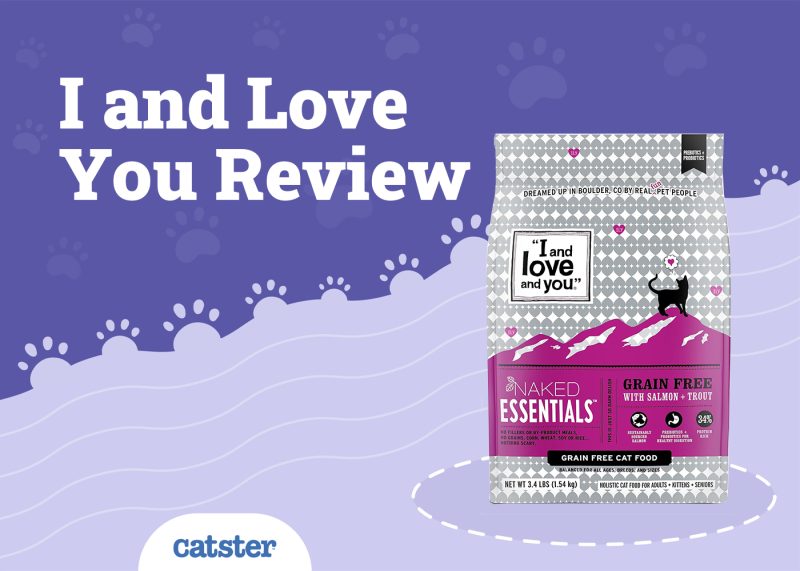 I and Love You Cat Food Review