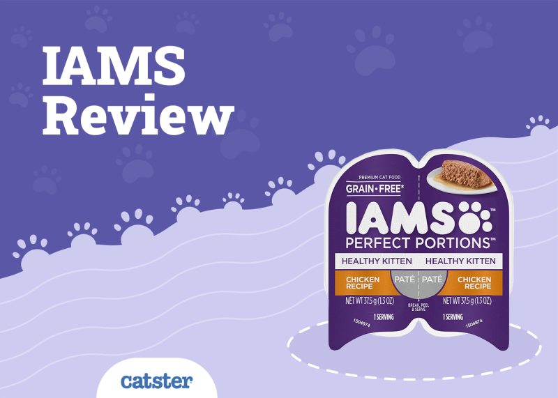 why was iams grain free cat food discontinued