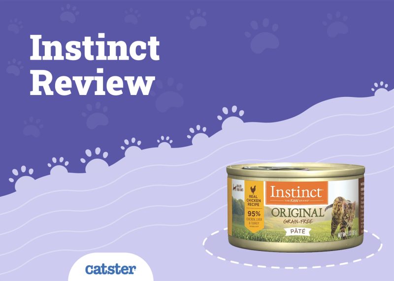 Instinct Cat Food Review