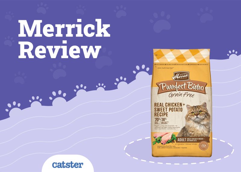 Merrick Cat Food Review