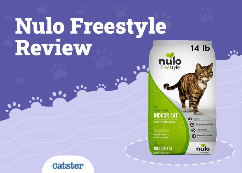 Nulo Freestyle Cat Food Review