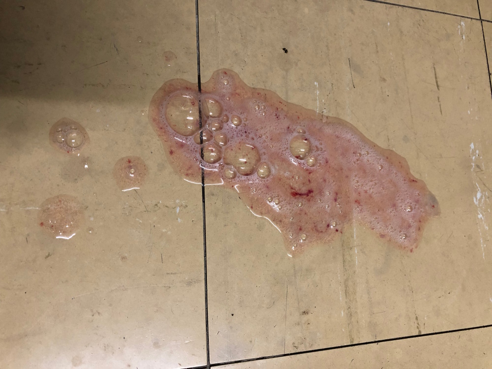 Pinkish-colored cat vomit on the floor