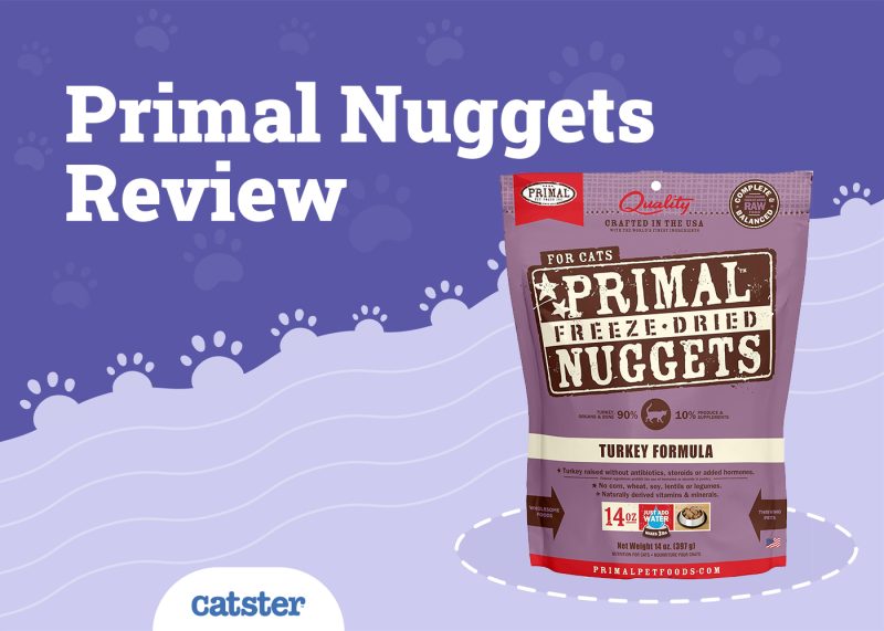 Primal Nuggets Review