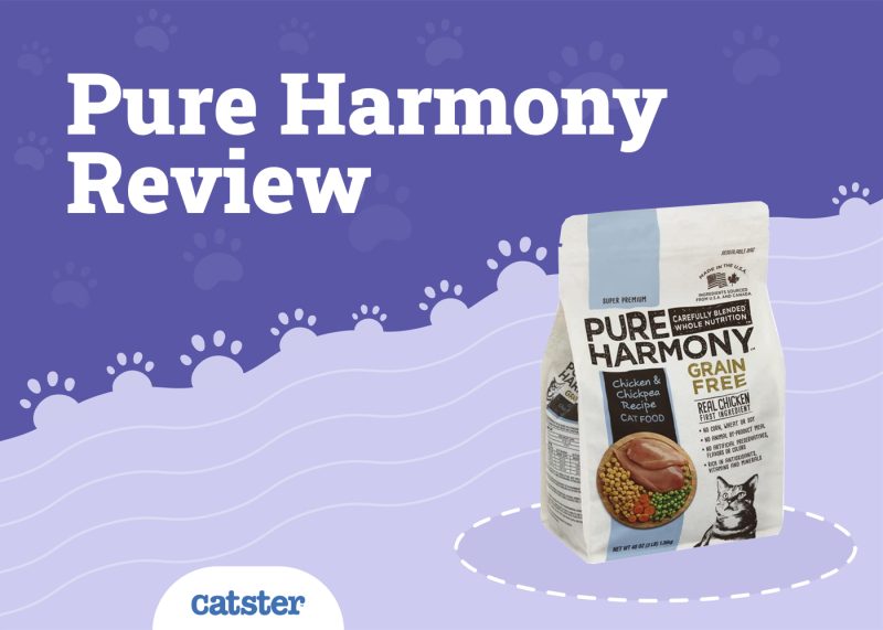 Pure Harmony Cat Food Review
