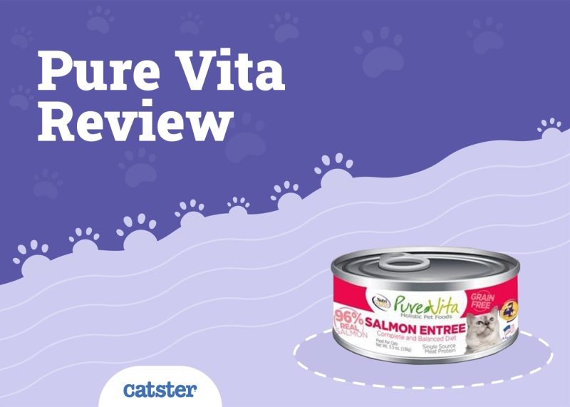 Pure Vita Review