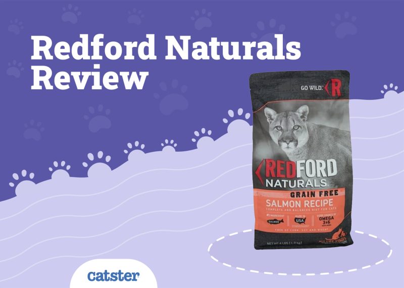 Redford Naturals Cat Food Review