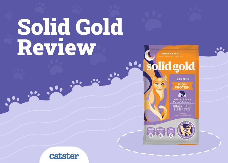 Solid Gold Cat Food Review of 2024 Recalls, Pros & Cons Catster