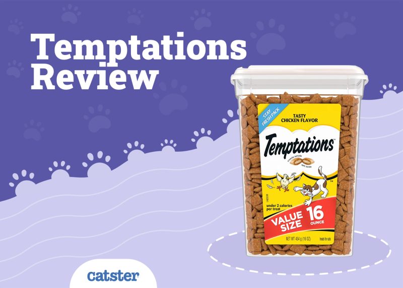 Temptations Cat Treats Review