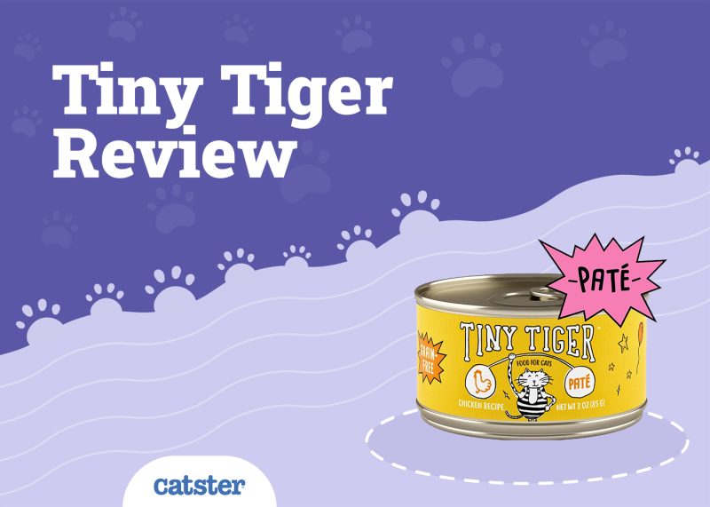 Tiny Tiger Cat Food Review