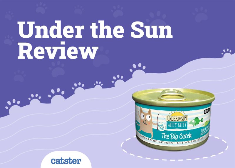 Under the Sun Review