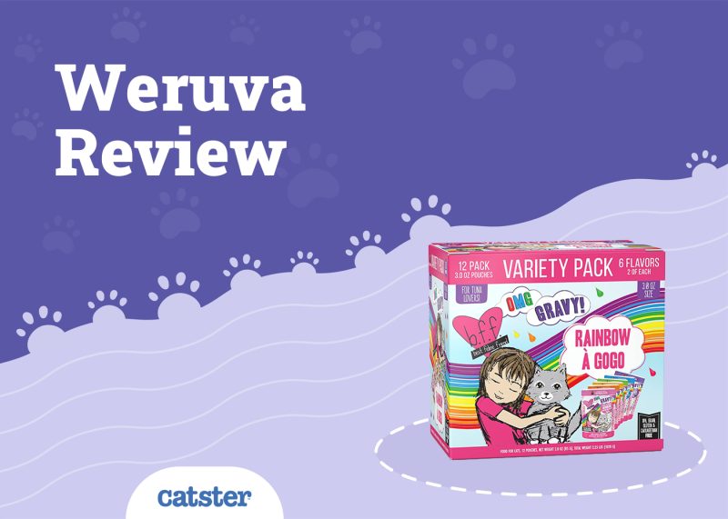 Weruva Cat Food Review