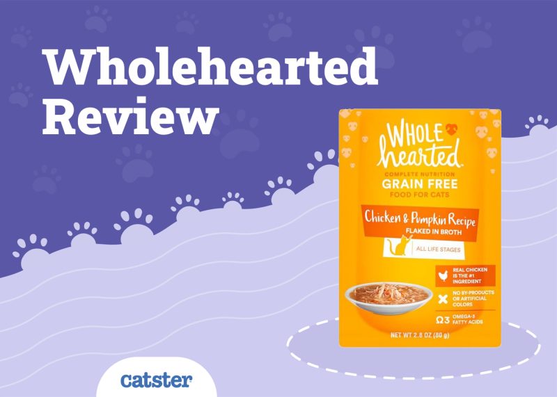 Wholehearted Cat Food Review