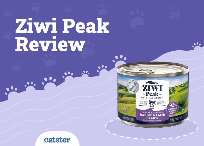 Ziwi Peak Wet Cat Food Review
