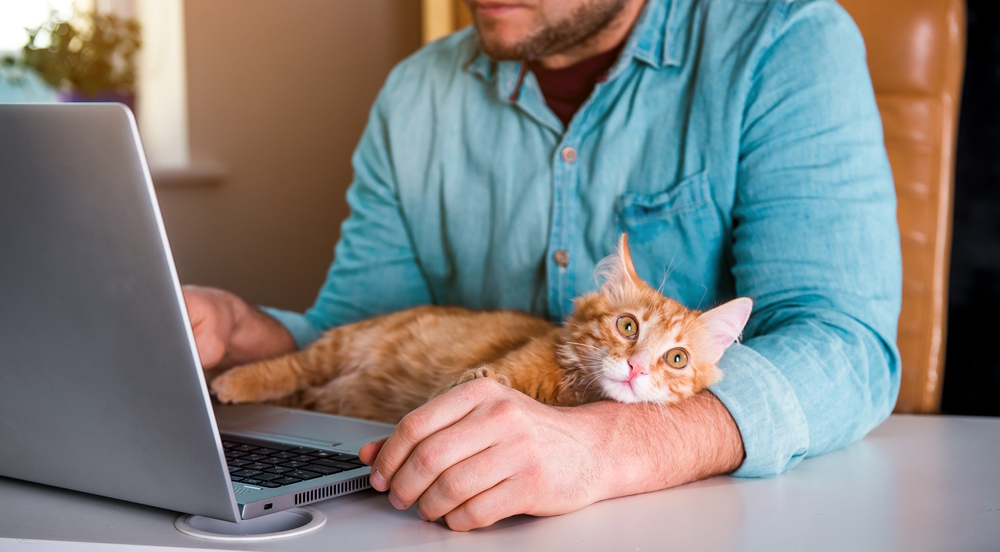 man-with-cat-using-laptop