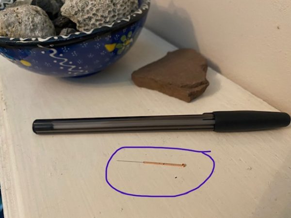 Feline Fine: Acupuncture in Cats, Part One - Catster