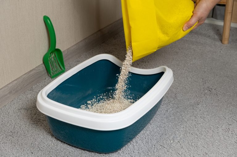 Paper Cat Litter Pros And Cons Multi-Cat Litter vs Regular: Pros, Cons & Comparison (Vet-Reviewed