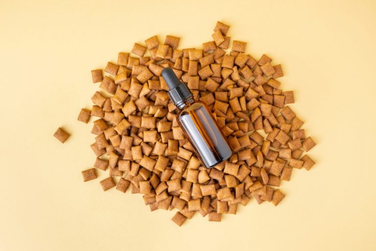 Best Cat Food For Cancer Prevention