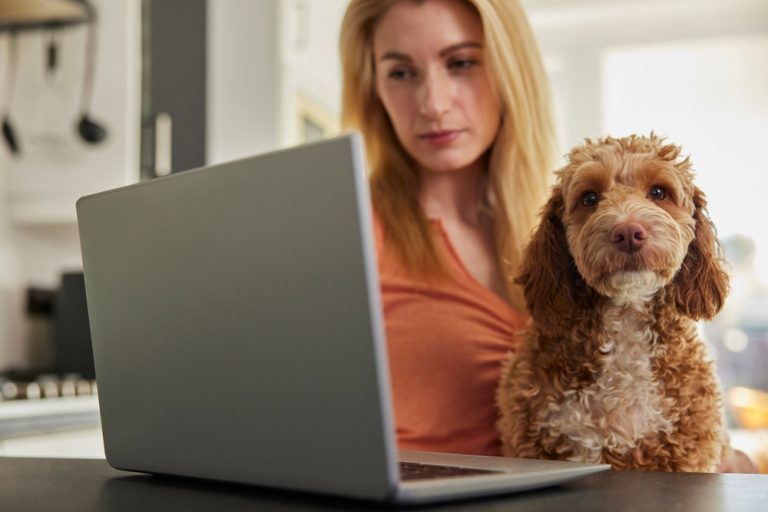how-to-get-a-vet-prescription-online-9-steps-what-to-expect-catster